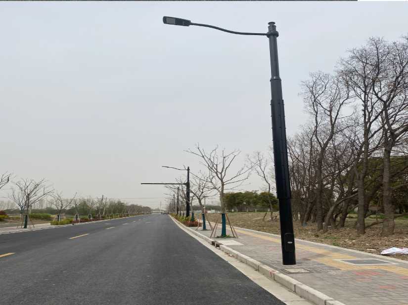 丹徒区上海综合杆 太阳能路灯工程